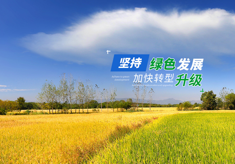 AG真人国际(中国)官方网站